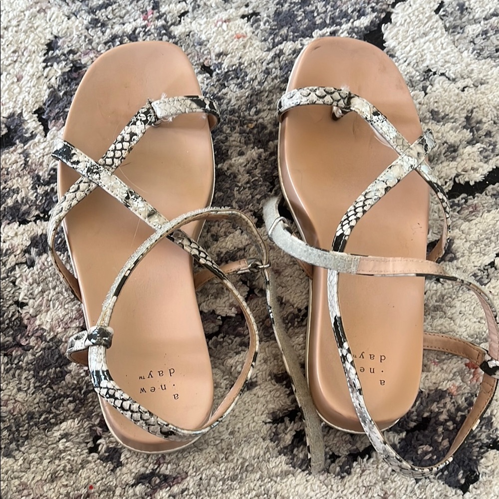 Women's Snakeskin Sandals - Black and Tan
